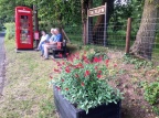 Talyllyn Phone Box 