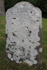 plot 24