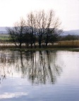 Reflections on lake