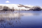 snowscene 2004