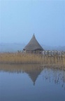 bird hide