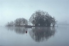 Cranog with boats
