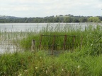 lakeside
