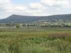 Llangors lake from Ty Mawr wildflower meadow