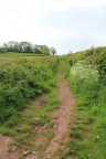 footpath to Allt yr Esgair from Llangasty Hall