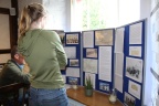 Red Lion display 2023 (2)