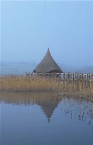 bird hide.jpg